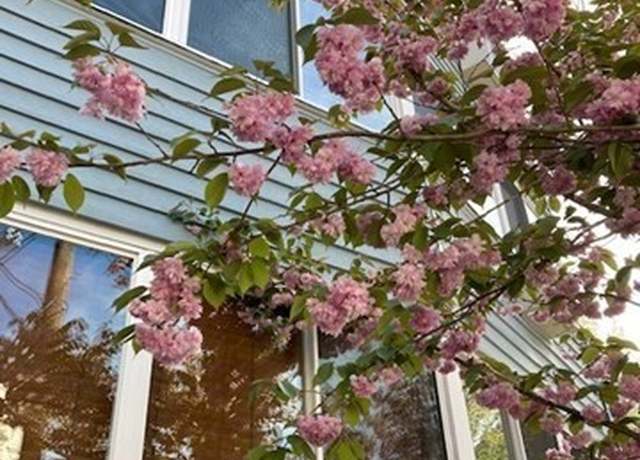 Property at 516 Green Unit 3D, Cambridge, MA 02139, 2 beds, 1 bath