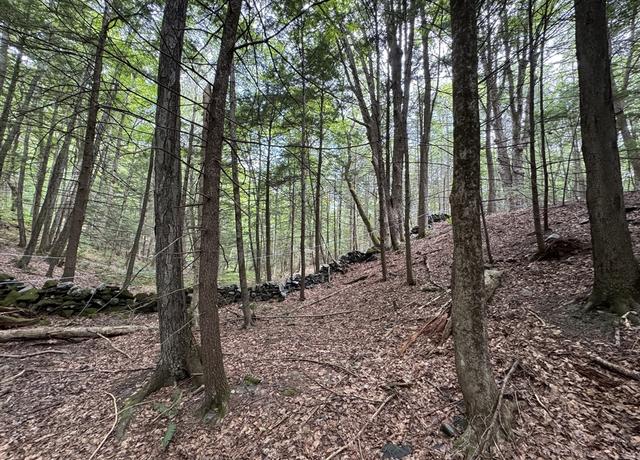 Property at 0 North St, Whately, MA 01093
