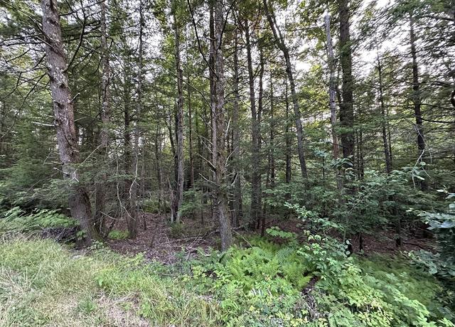 Property at 0 Shaw Rd, Cummington, MA 01026