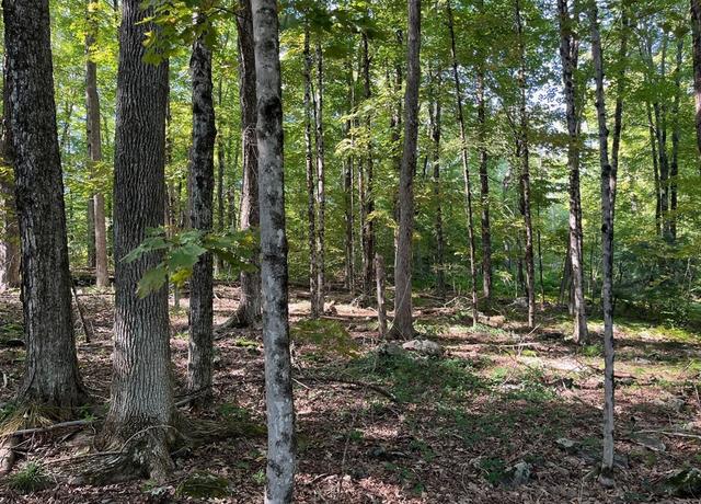 Property at 26 Old Brooks Station Rd, Princeton, MA 01541