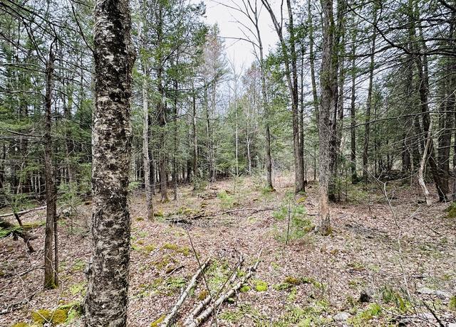 Property at 0 Shaw Rd, Cummington, MA 01026