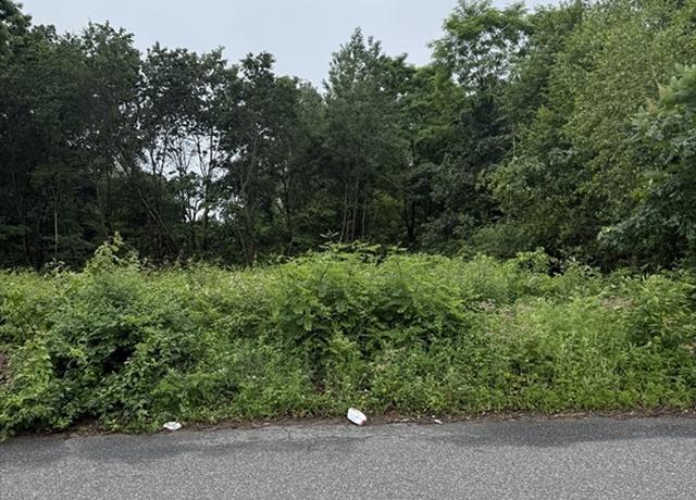 Property at W S Arnold Ave, Springfield, MA 01119