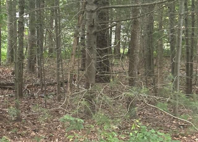 Property at 37 Ships Rudder Dr, Mashpee, MA 02649