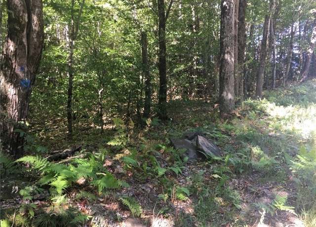 Property at 39 Bow St, Plainfield, MA 01070