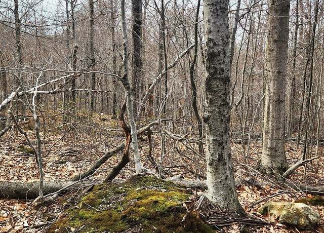 Property at 49 & 67 Shawnee Dr, Heath, MA 01346