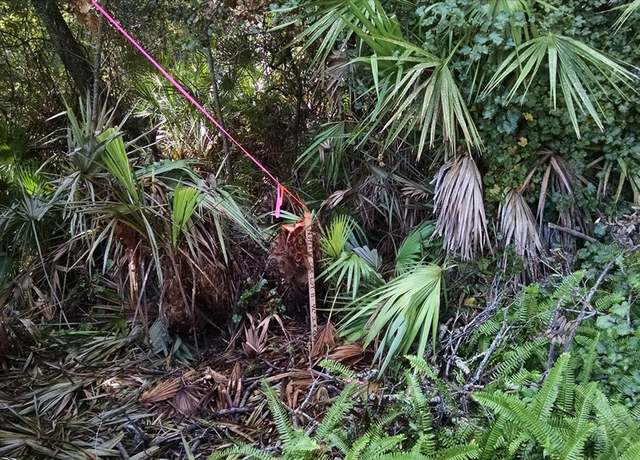 Property at 267 Sunrise Blvd, Debary, FL 32713
