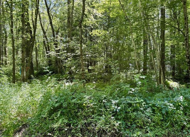 Property at Lot 2 Greenville St, Spencer, MA 01562
