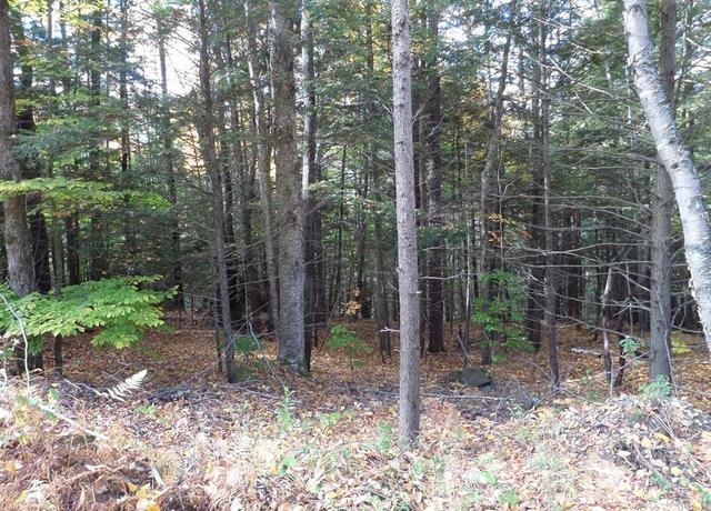 Property at 0 Thayer Hill Rd, Worthington, MA 01098