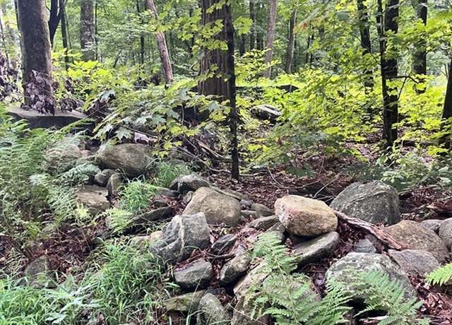 Property at Lot 17.04 & 17.05 Sabin St, Belchertown, MA 01007