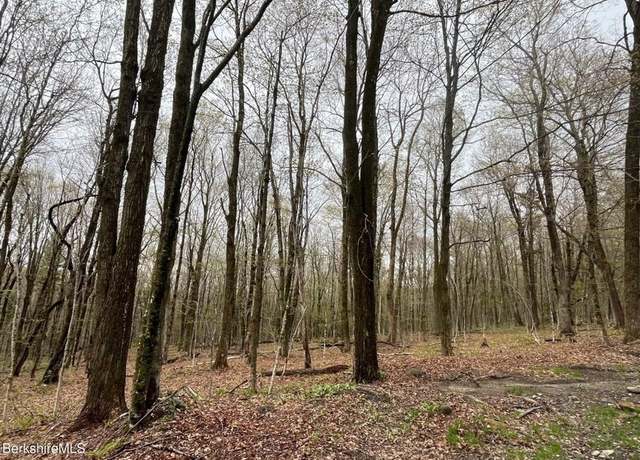 Property at 0 Manley Phelps Rd, Monroe, MA 01350