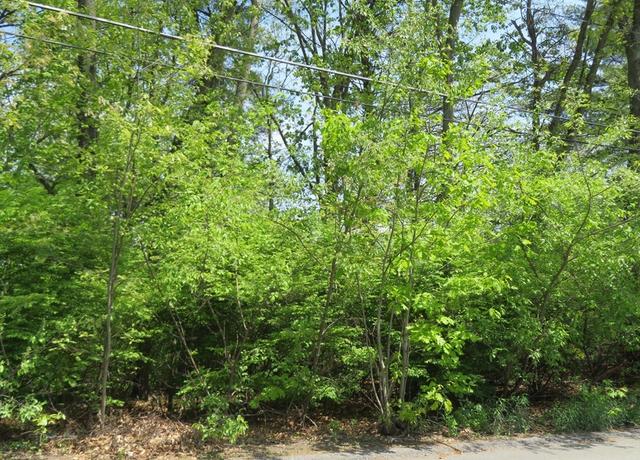 Property at Lot 653 Farmington, Nashua, NH 03060