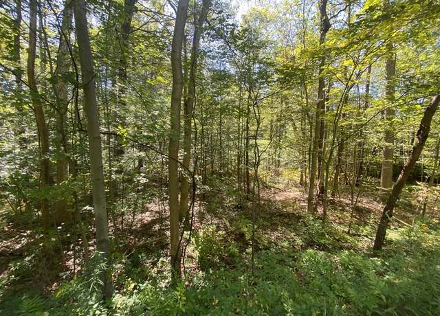 Property at 0 State Rd, Erving, MA 01344