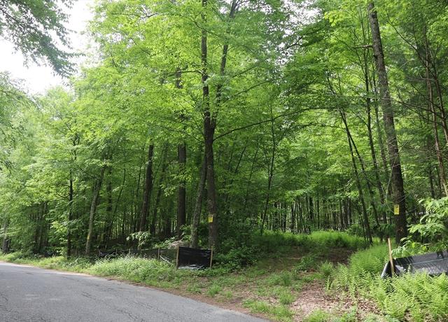 Property at 160 Silver St, Monson, MA 01057