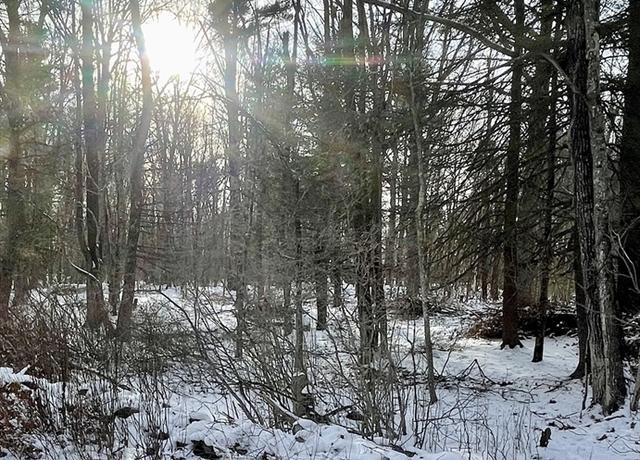 Property at Lot 6 Colebrook River Rd, Tolland, MA 01034