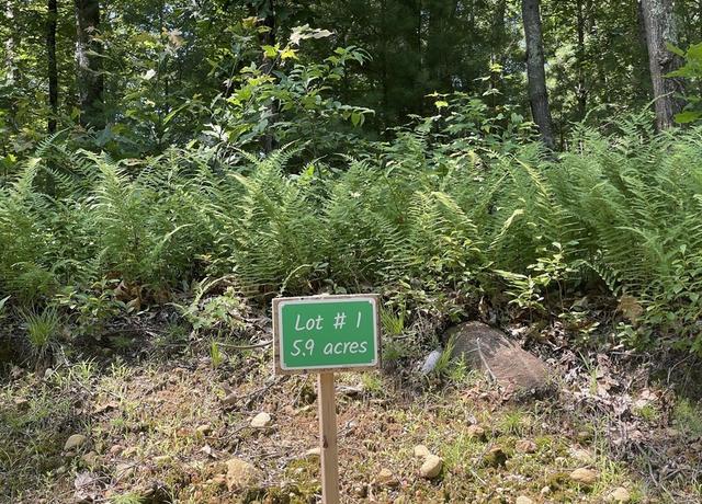 Property at 291 Warren Rd, Brimfield, MA 01010