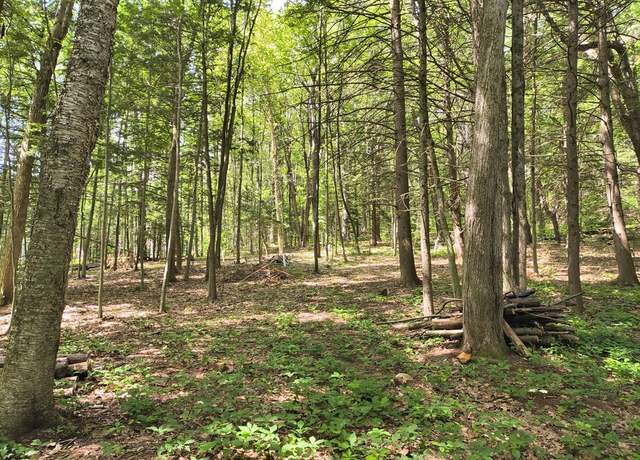 Property at 0 Round Hill Rd, Chester, MA 01011