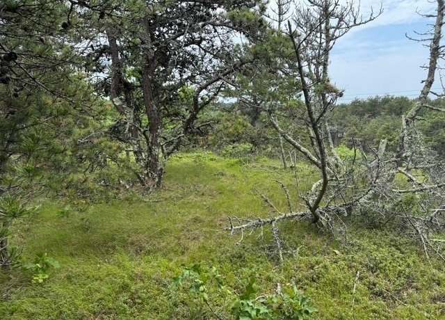 Property at 6 Longnook Ln, Truro, MA 02666