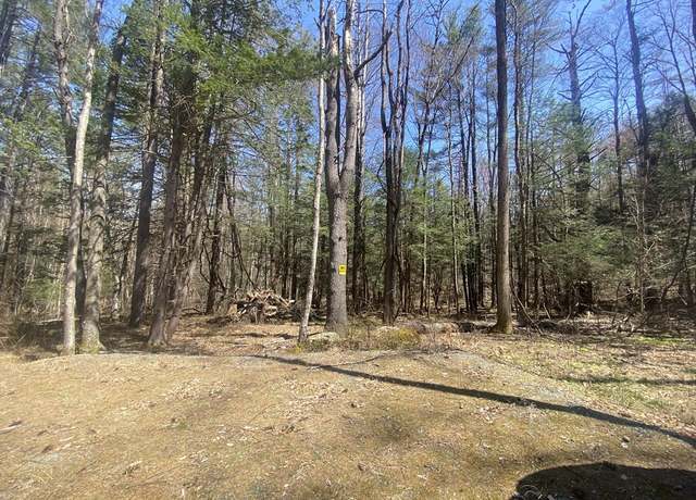 Property at 0 Schaefer Way, Charlemont, MA 01339