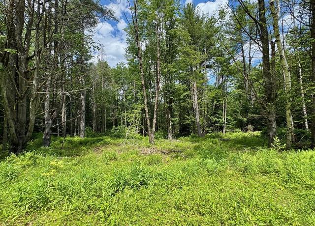 Property at 0 Shelburne Falls Rd, Conway, MA 01341