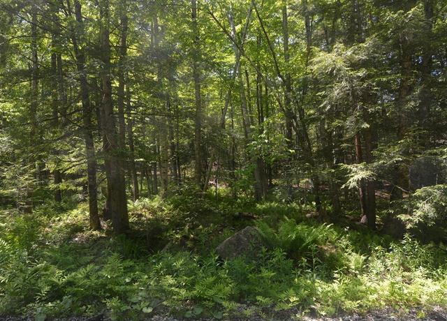 Property at Lot 155 Chippewa Dr, Becket, MA 01223
