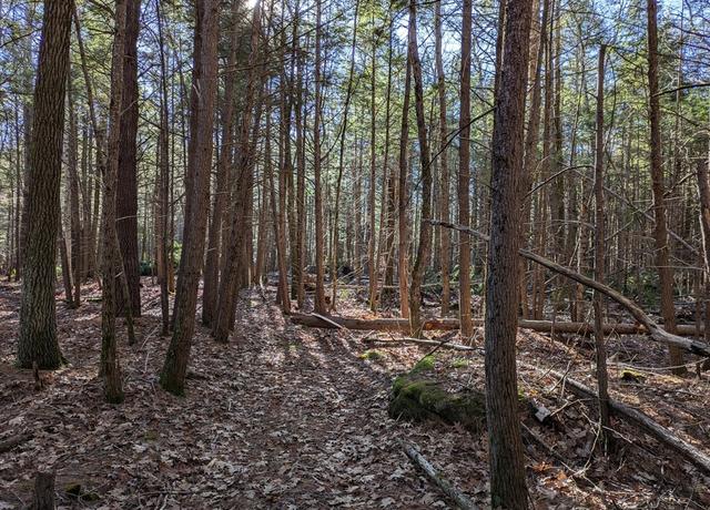 Property at Lot B Willis Rd, Phillipston, MA 01331