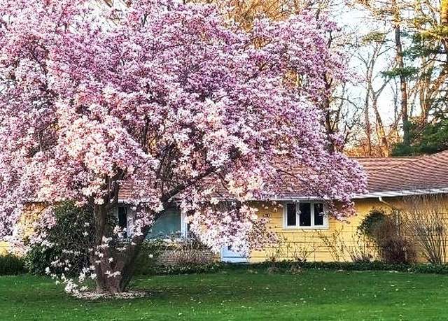 Property at 330 Chapin St, Ludlow, MA 01056, 3 beds, 2 baths