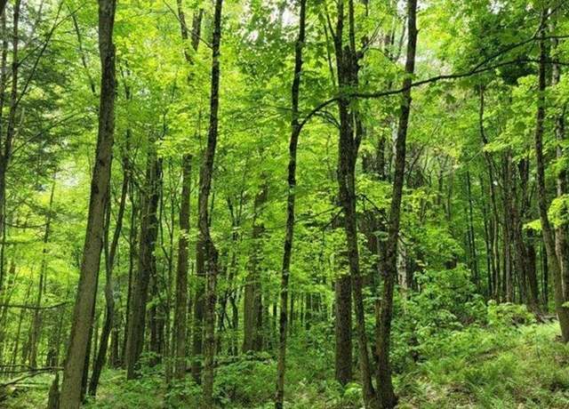 Property at 0 Mohawk Lake Rd, Stockbridge, MA 01262