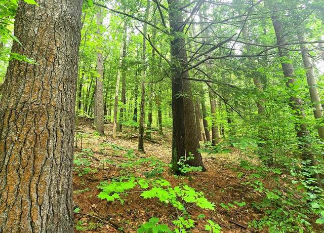Property at 0 Lake Mattawa Rd, Orange, MA 01364