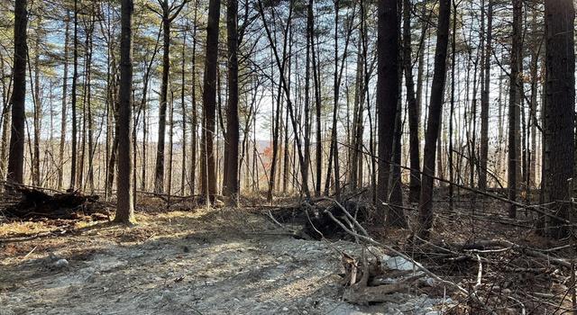 Photo of Lot 38A&29 Michael Sears, Belchertown, MA 01007