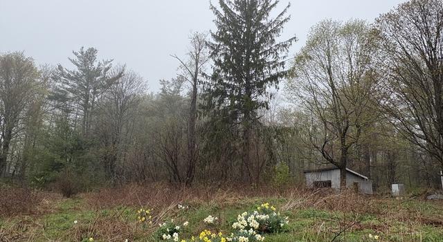 Photo of 63 Sugar Hill Rd, Chesterfield, MA 01096