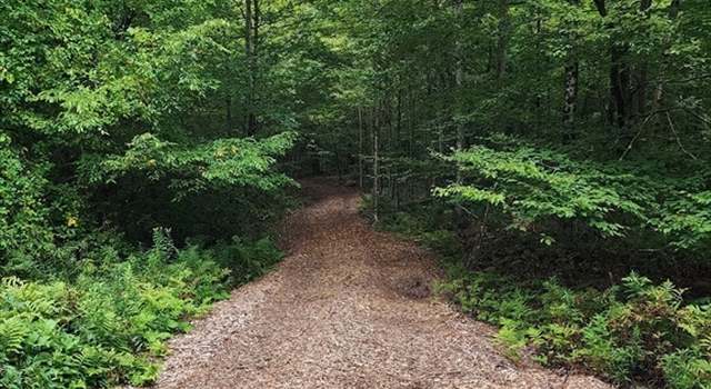 Photo of 0 Churchill Rd, Otis, MA 01253