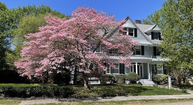 Photo of 21 Waterston Rd, Newton, MA 02458