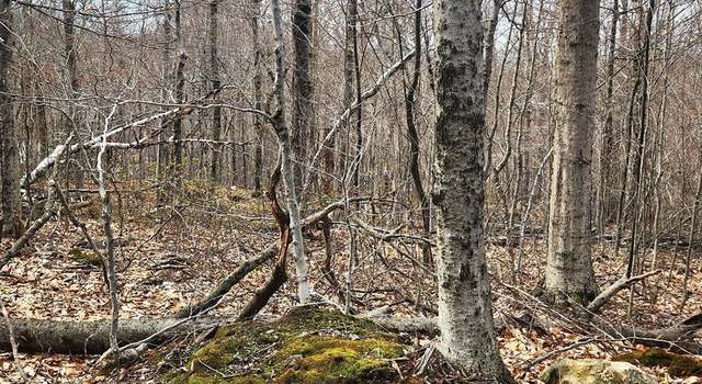Photo of 49 & 67 Shawnee Dr, Heath, MA 01346