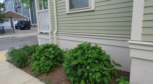 Photo of 53 Edgewood #53, Boston, MA 02119