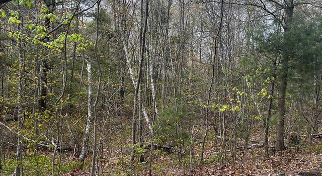 Photo of 27 Pleasant St. Lot 1, Mendon, MA 01756