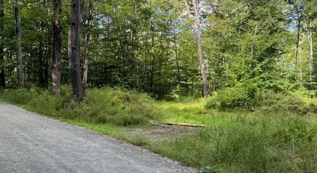 Photo of Lot 119 Davis Mine Rd, Rowe, MA 01367
