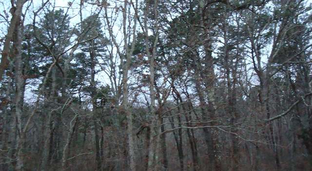 Photo of 153 Oakmont Dr, Yarmouth Port, MA 02675