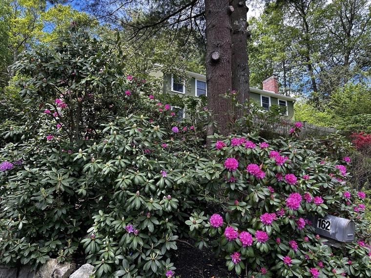Photo of 162 Mayfair Dr Westwood, MA 02090