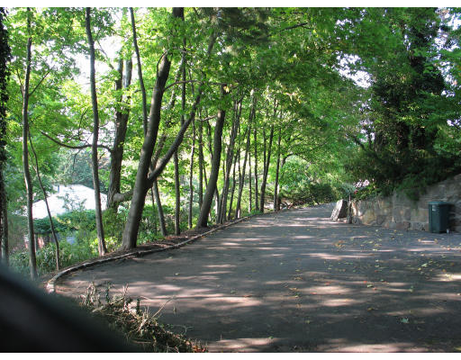 Open Road: The Path to Brookline