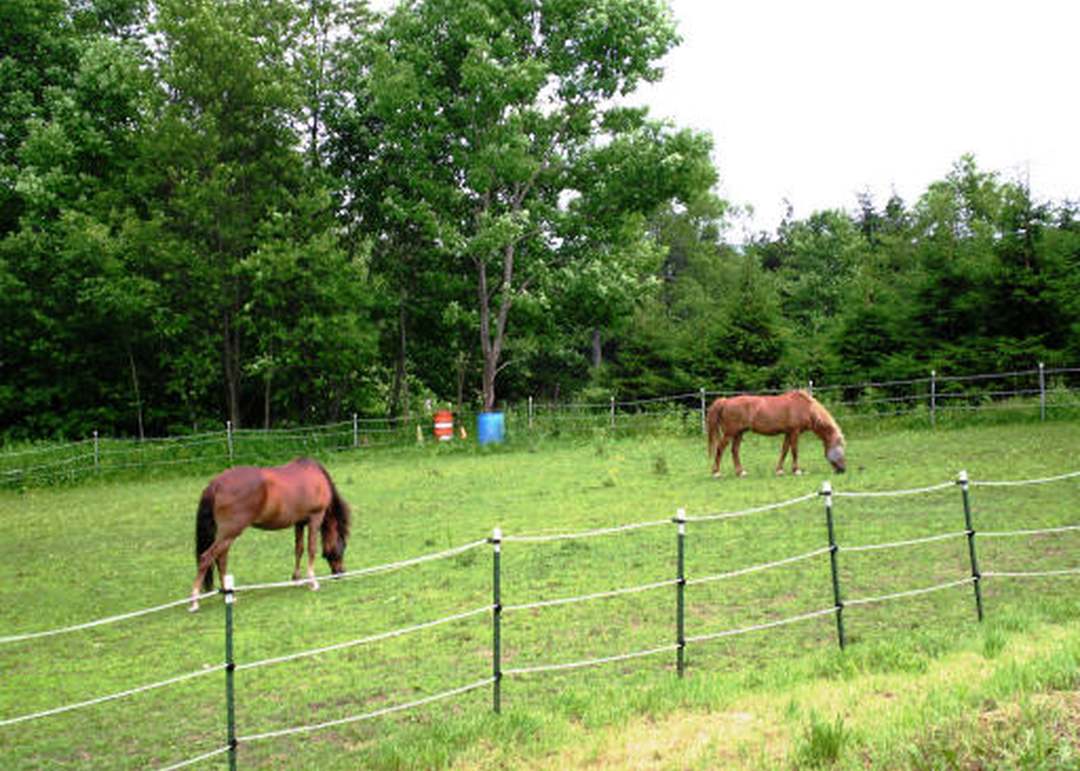 134 Arthur Pease Rd, Middlefield, MA 01234