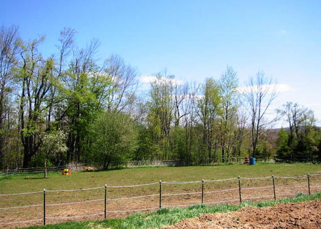 134 Arthur Pease Rd, Middlefield, MA 01234