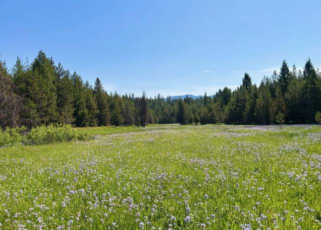 Property at TBD Sawtooth Loop, Cascade, ID 83611