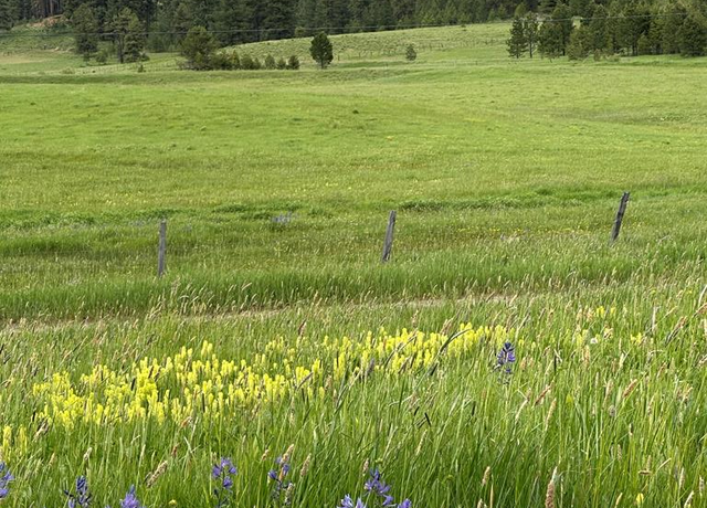 Property at TBD Nasi Ln, Donnelly, ID 83615