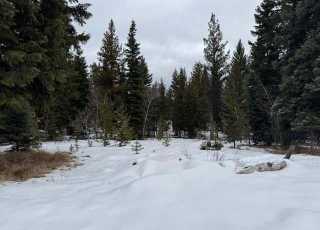 Property at Lot 76 Thunderbolt Pl #76, Mccall, ID 83638