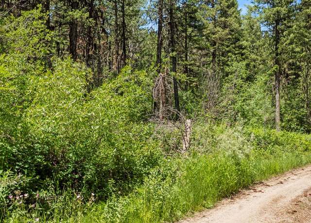 Property at 513 Susan Rd #42, Cascade, ID 83611