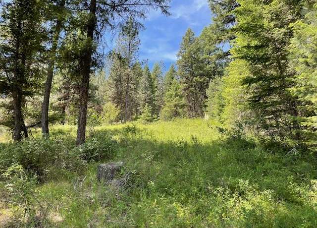 Property at Lot 20 Little Salmon Rd #20, New Meadows, ID 83654