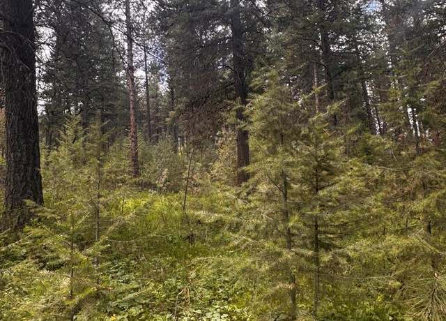 Property at TBD Sorrel Dr #18, New Meadows, ID 83654