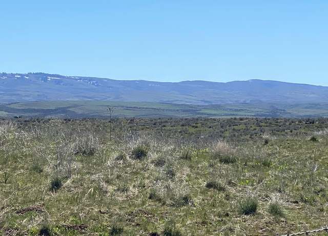Property at TBD P-3 Indian Valley Rd, Indian Valley, ID 83632