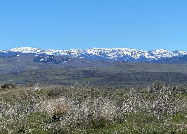 Property at TBD P-4 Indian Valley Rd, Indian Valley, ID 83632