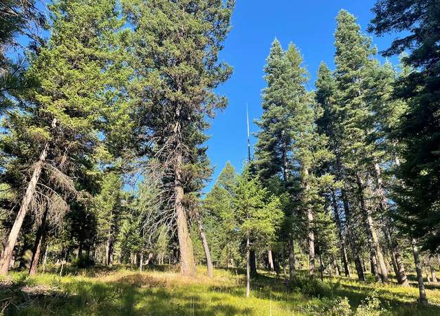 Property at TBD Crowley Ln, Mccall, ID 83638